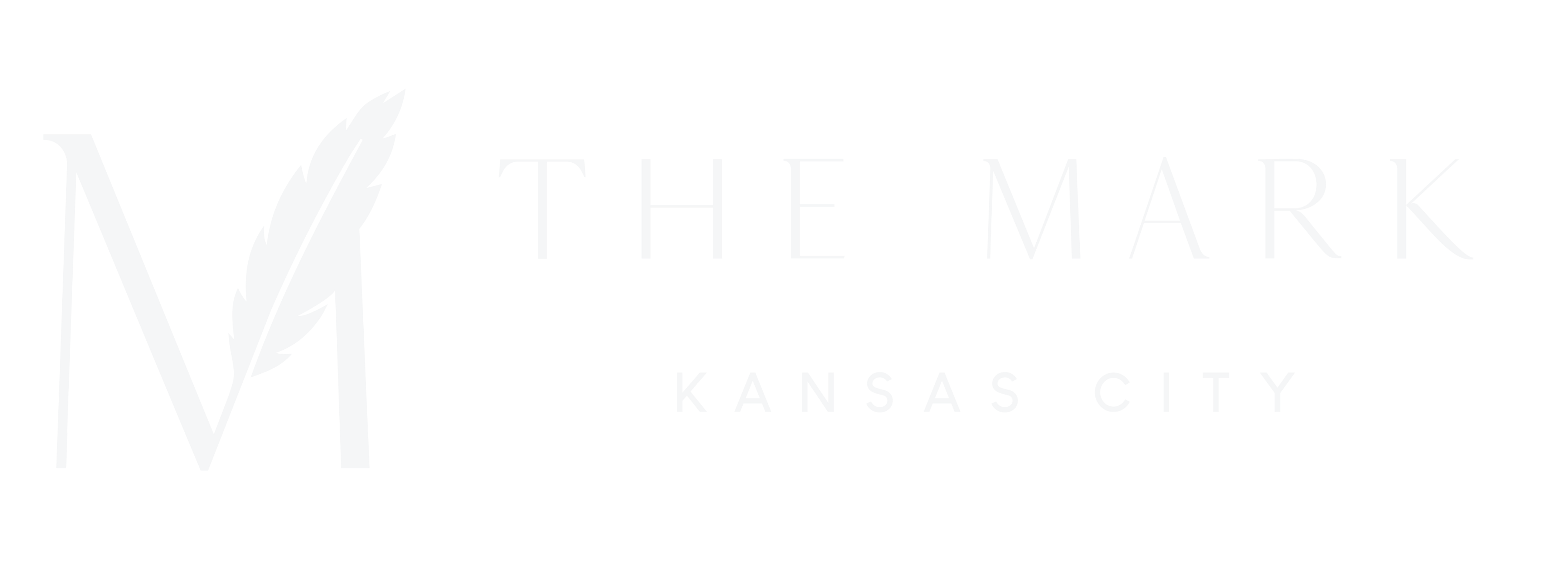 The Mark Kansas City Apartments